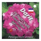 Семена цветов Пеларгония "Ринго 2000" Дип Роуз, Мн, DARIT , F1,4 шт 