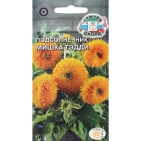 Семена цветов цветок Подсолнечник Мишка Тэдди (масличный, карликовый, махровый, ярко-желтый)