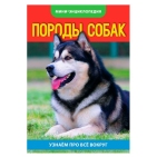 Мини-энциклопедия "Собаки" 20 страниц   