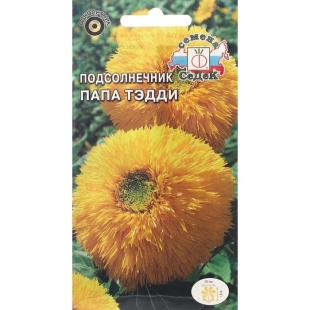 Семена цветов цветок Подсолнечник Папа Тэдди (масличный, высокорослый, махровый, золотисто-ж фото 78466