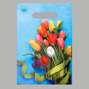 Пакет "Тюльпаны", полиэтиленовый с вырубной ручкой, 20х30 см, 30 мкм    фото 86213