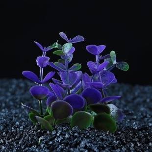 Растение искусственное аквариумное кустовое, 10 см, фиолетовое   фото 110693
