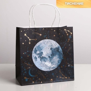 Пакет крафтовый «Вселенная», 22 × 22 × 11 см    фото 84762