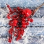 Декор "Зимнее очарование" веточка с ягодками и яблочком 22 см      t('фото') 72260