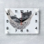 Часы настенные, серия: Животный мир, "Котенок в гамаке", 20х26 см  микс  t('фото') 109589