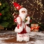 Дед Мороз "В красной шубке, колпачке и с подарками" 15х30 см t('фото') 113433