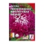 Семена цветов Астра пионовидная "Фиолетовая Башня",  0.2 г  t('фото') 86250