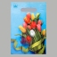 Пакет "Тюльпаны", полиэтиленовый с вырубной ручкой, 20х30 см, 30 мкм    t('фото') 86212
