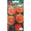 Семена цветов цветок Гелихризум Огонёк (прицветниковый, ярко-оранжевый) . Евро, 0,2 г  t('фото') 94543