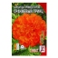 Семена цветов Бархатцы прямостоячие "Оранжевый принц", О, 0,1 г    t('фото') 94405
