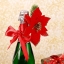 Украшение на бутылку "Новогодний цветок" цвет красный  t('фото') 72167