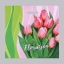 Пакет "Первые цветы", полиэтиленовый с вырубной ручкой 40х47 см, 45 мкм 5860325 t('фото') 106130