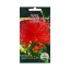 Семена Цветов Астра Гигантские лучи Красная, 0,2 г  t('фото') 86280