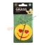 Освежитель (ароматизатор) Smile GRASS ваниль  ST-0400 t('фото') 80508