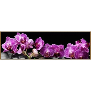 Алмазная мозаика "Тропическая орхидея"  65*20см, 33 цвета F-176    фото 77581