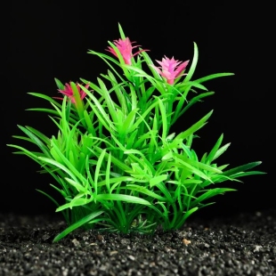 Растение искусственное аквариумное, 11 см, зелёное       фото 110700