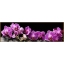 Алмазная мозаика "Тропическая орхидея"  65*20см, 33 цвета F-176    t('фото') 77580